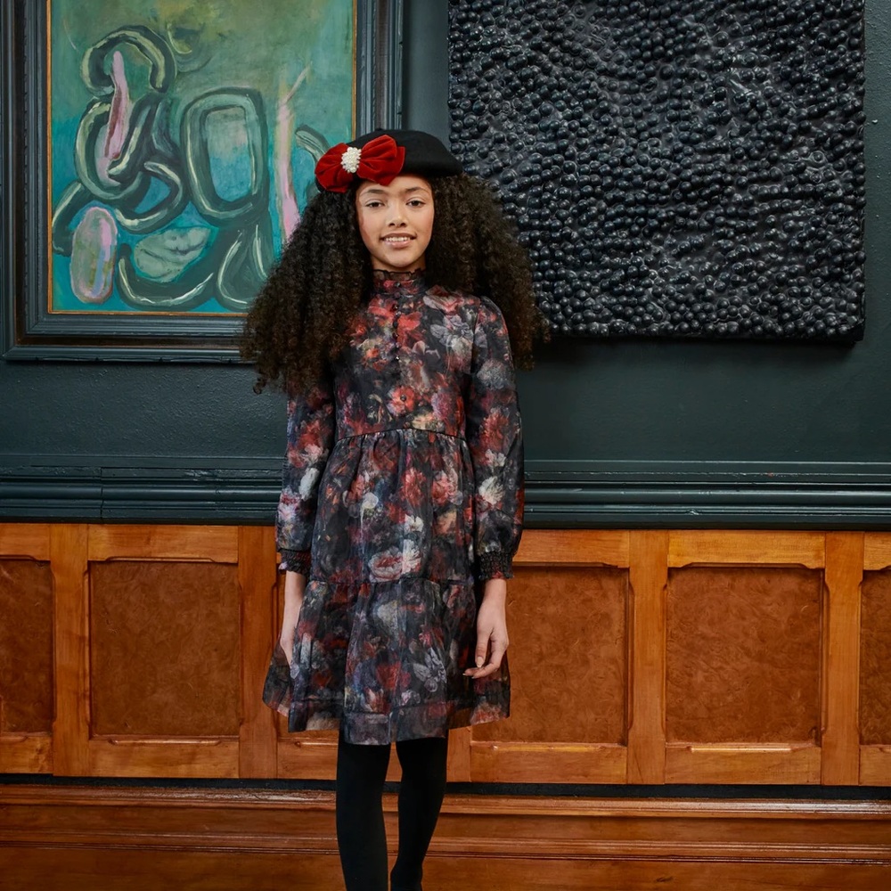 Floral organza Long Sleeve Dress